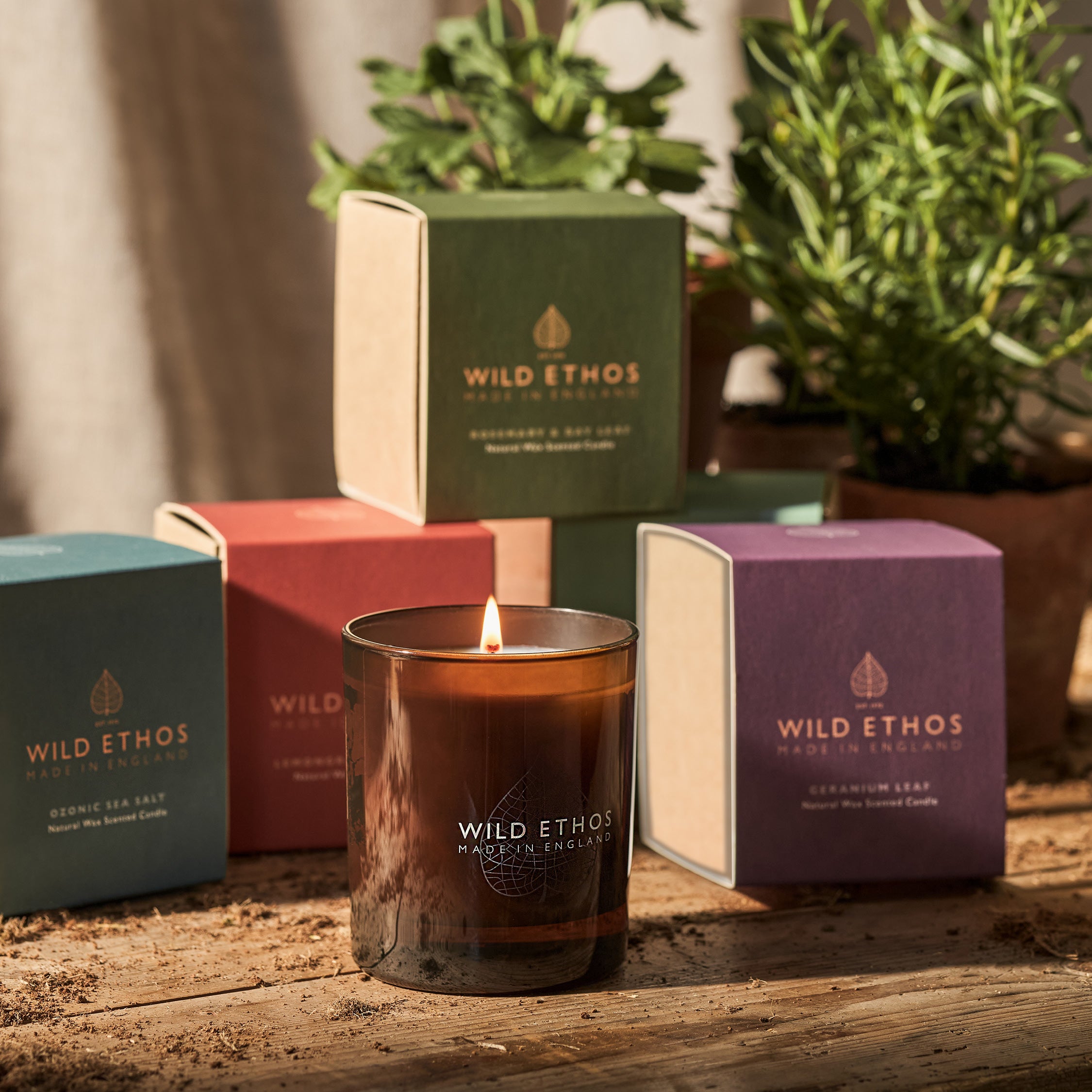 Wild Ethos Glass Candle with boxes