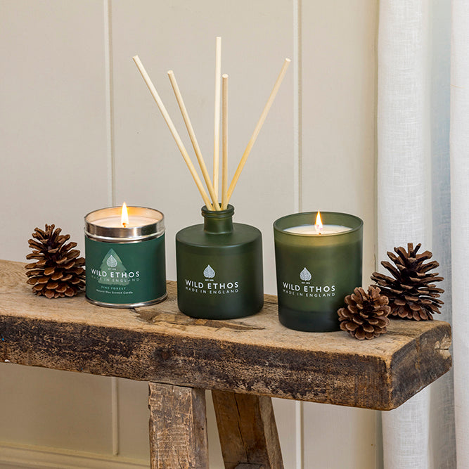 Wild Ethos Pine Forest Candle