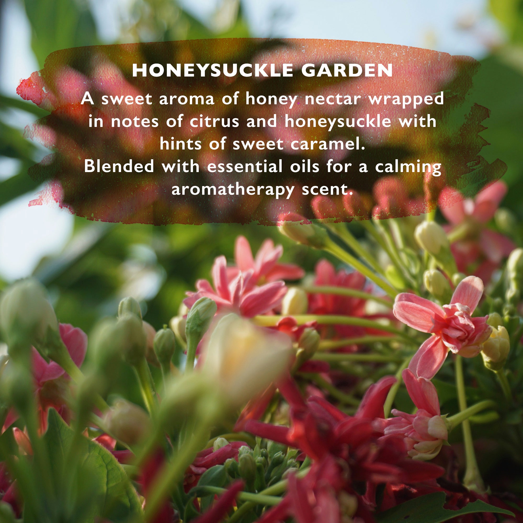 Wild Ethos Honeysuckle Garden Candle