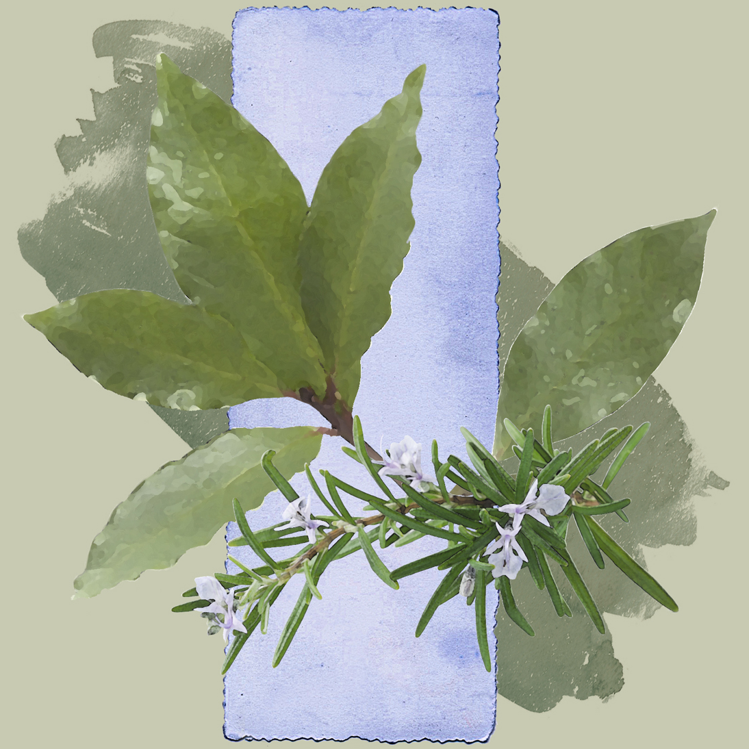 Rosemary & Bay Leaf