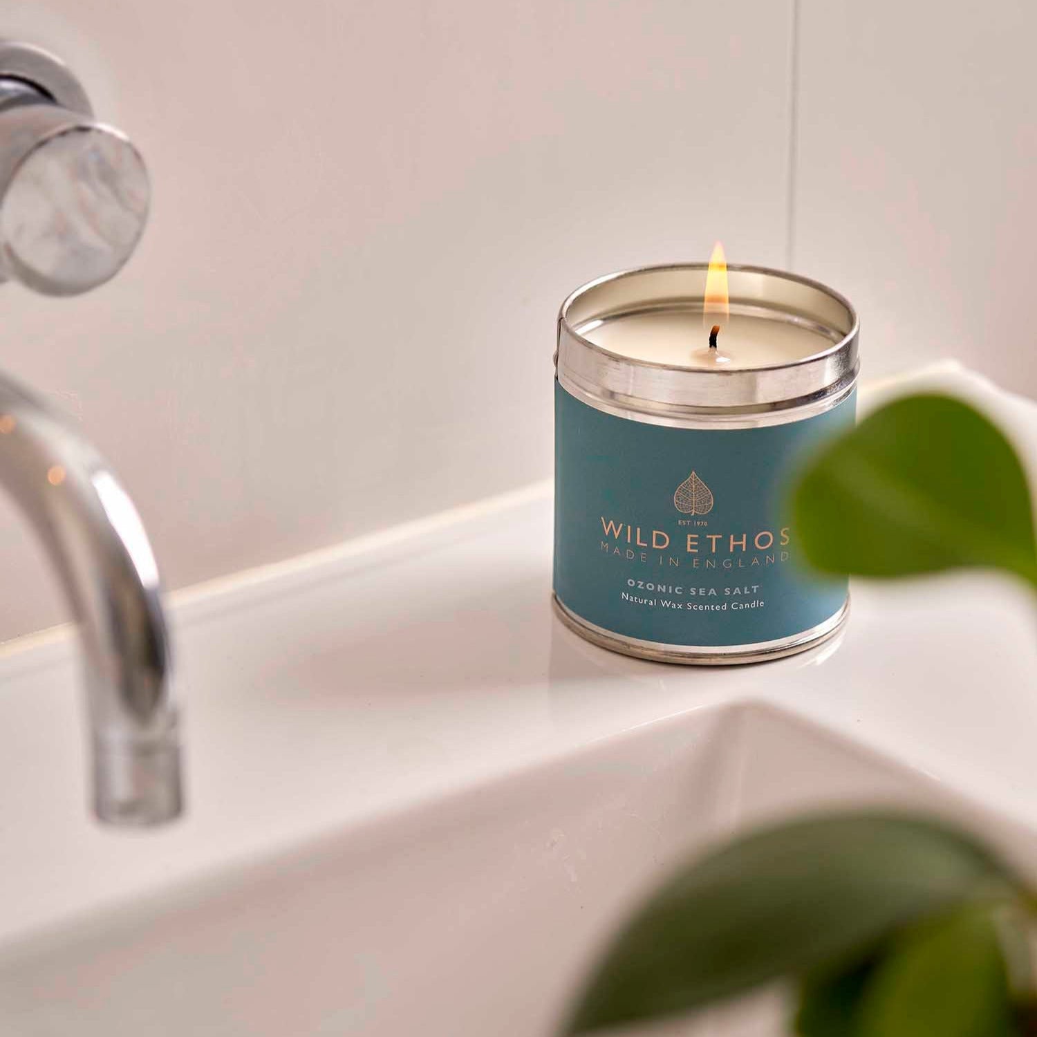 Wild Ethos Ozonic Sea Salt Candle