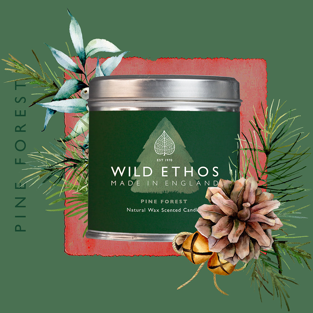 Wild Ethos Pine Forest Candle