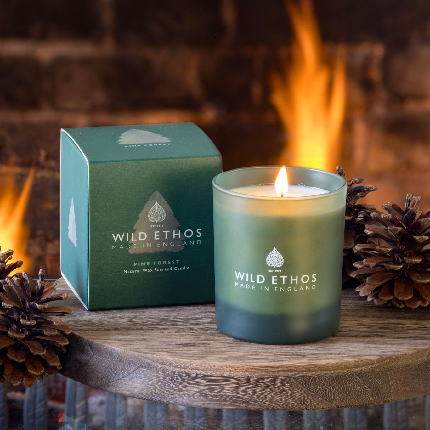 Wild Ethos Pine Forest Jar Candle