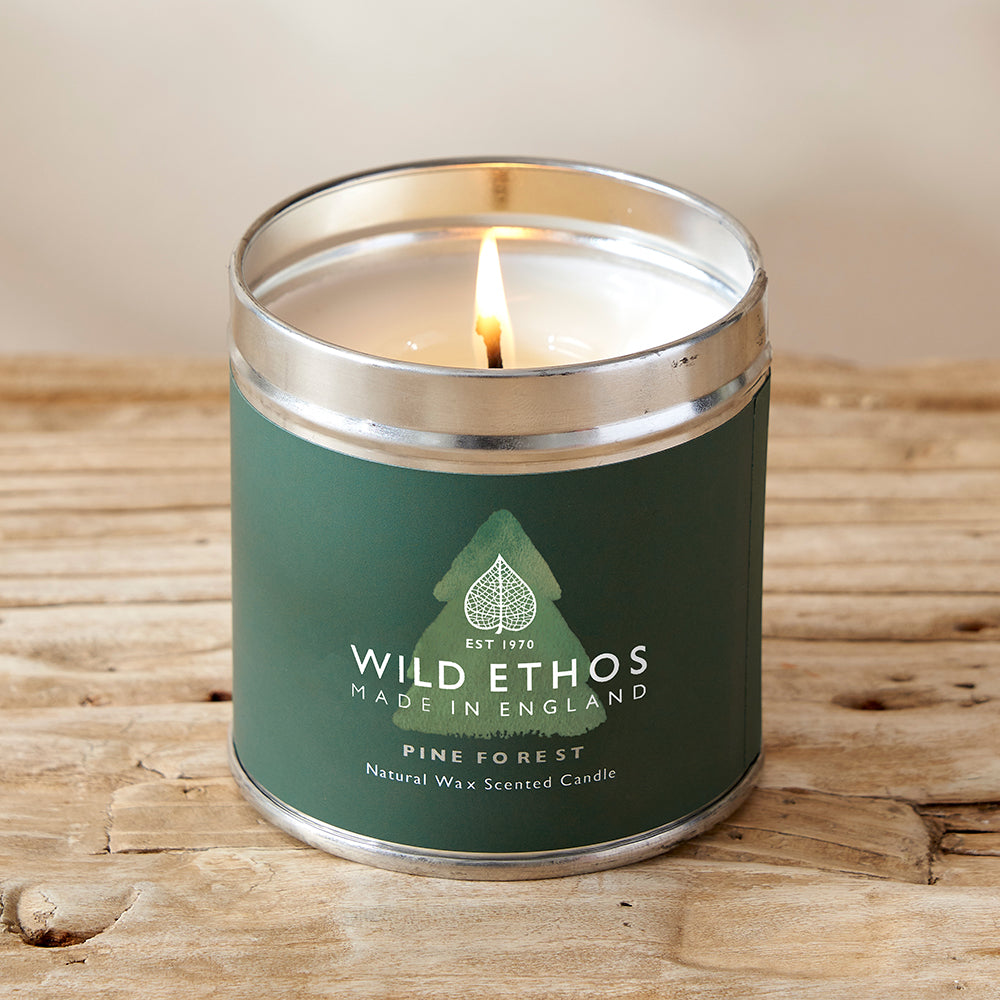 Wild Ethos Pine Forest Candle