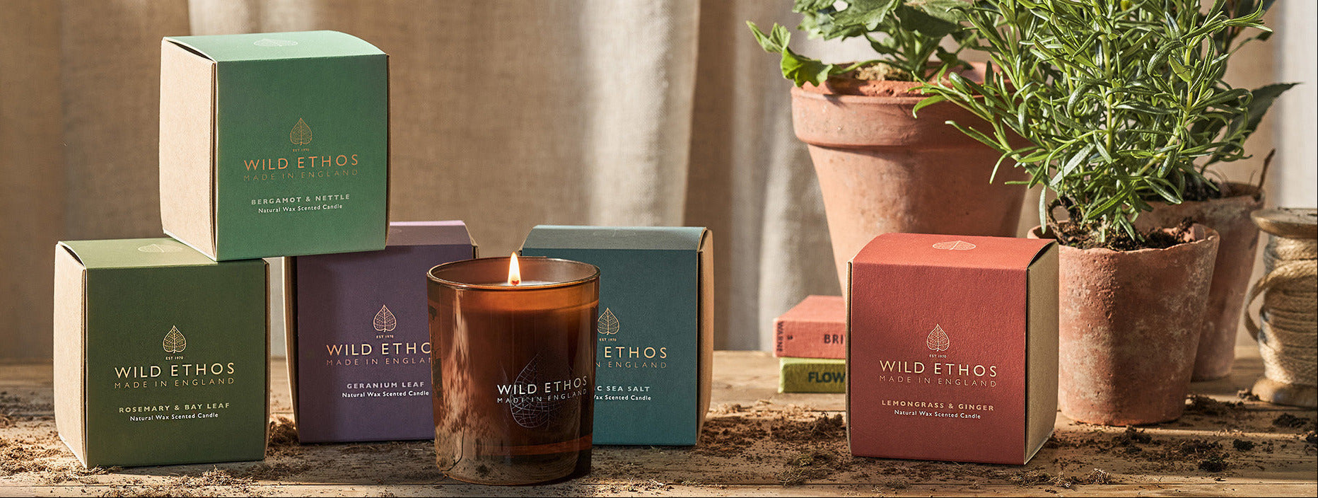 Collection of Wild Ethos candles and boxes on a wooden surface with plants in the background.